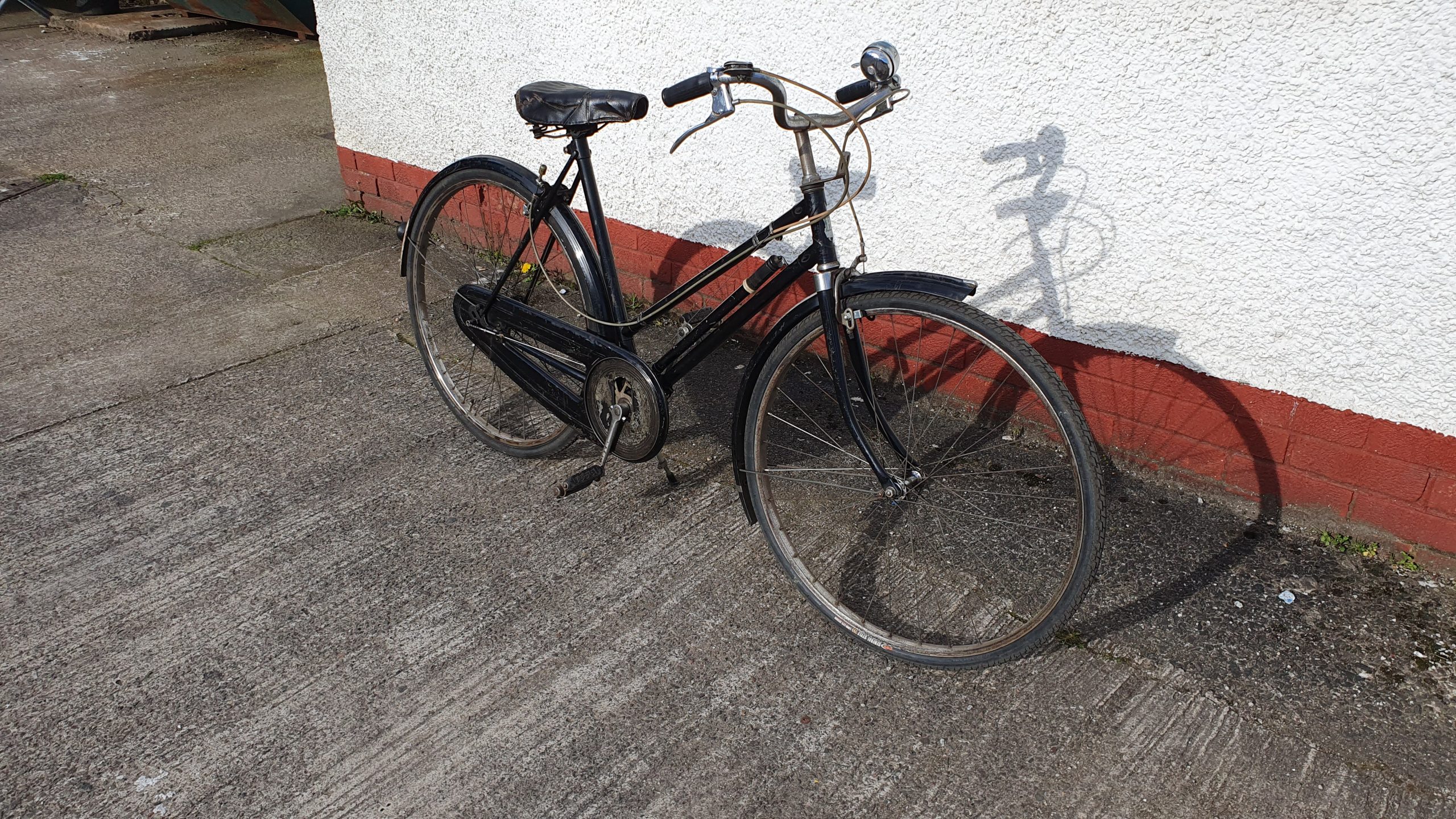 Hercules Bicycle – Mary Gillespie